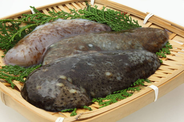 Pepino de mar, ingredientes alimentarios japoneses
 - Foto, Imagen
