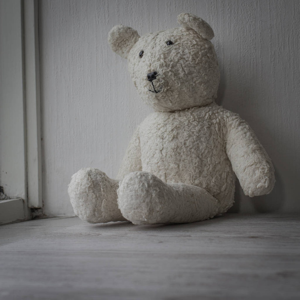 White teddy bear sitting sad one in the window - Photo, image
