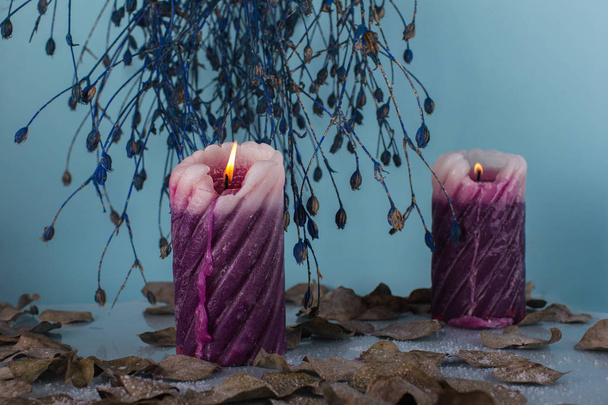 Kompozycja zima z dwie świece i piękne suszonych gałęzi  - Zdjęcie, obraz