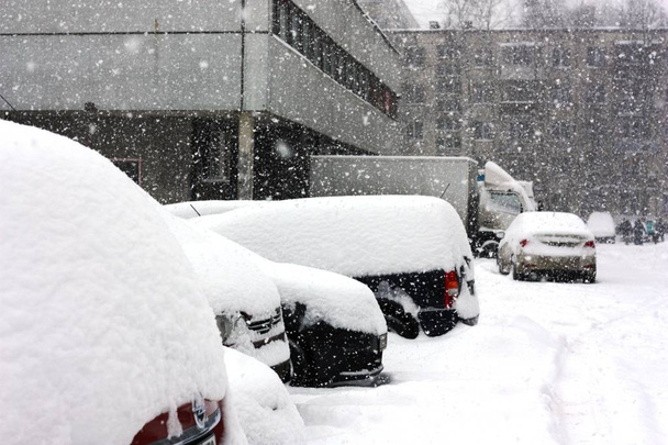 Снігові покриті автомобілі в місті
 - Фото, зображення