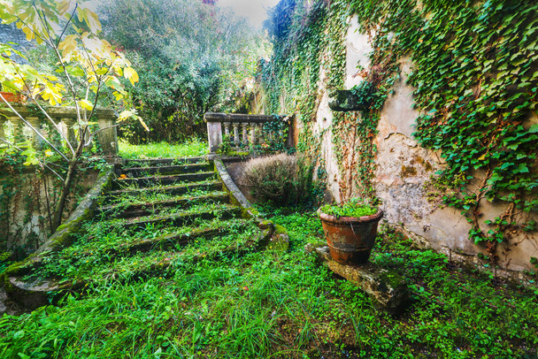 scale in un giardino abbandonato in Toscana
 - Foto, immagini
