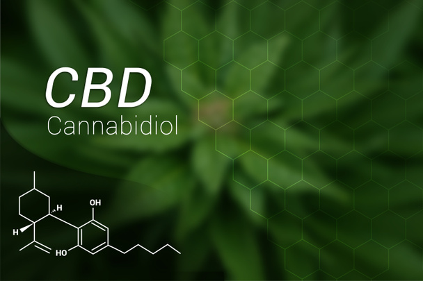 CBD Cannabidiol olie formule op marihuana blad achtergrond - Foto, afbeelding