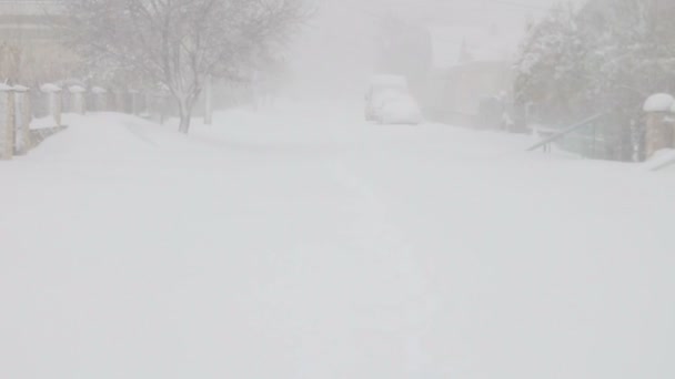 Video z sněhová bouře na Ukrajině - Záběry, video