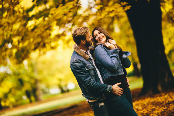 Kochająca para w jesiennym parku - Zdjęcie, obraz