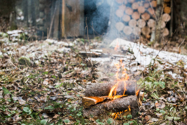 burning bonfire in forest - Фото, зображення