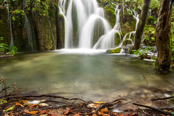 プリトヴィツェ国立公園の深い森の中の滝 - 写真・画像