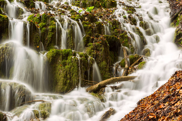 プリトヴィツェ国立公園の深い森の中の滝 - 写真・画像