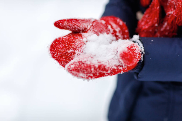 Red wool gloves - Foto, imagen