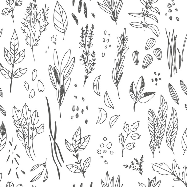 vector hand drawn seamless pattern with herb - Vector, imagen