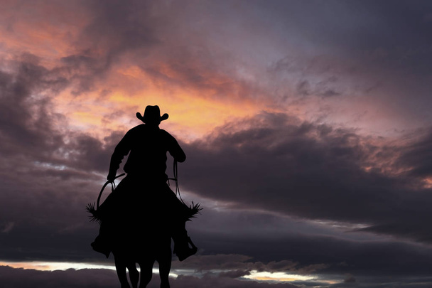Vaquero en un caballo
 - Foto, imagen