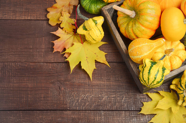 Fall background with pumpkins. - Photo, Image