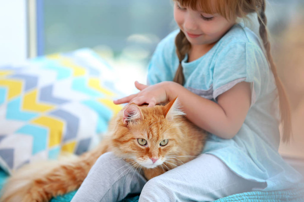 Cute little girl and red cat  - Фото, изображение