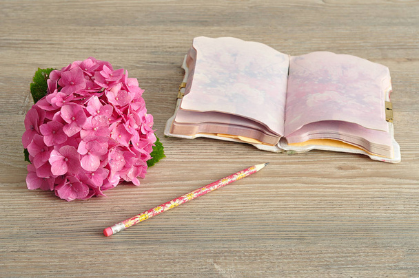 Una hortensia rosa con un cuaderno y un lápiz
 - Foto, Imagen