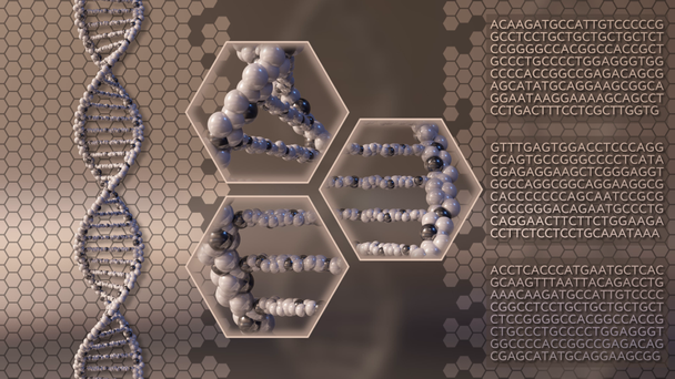 Múltiples moléculas de ADN giratorias de fondo de movimiento marrón. Investigación genética, medicina moderna o conceptos de diagnóstico molecular. Animación de bucle sin costura 4K
 - Metraje, vídeo