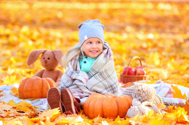 Cute little girl in autumn park - Fotoğraf, Görsel