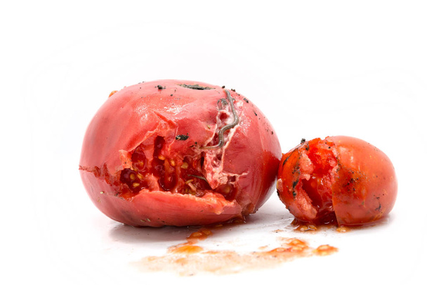 Dwa zgniłe pomidory z robakiem - Zdjęcie, obraz