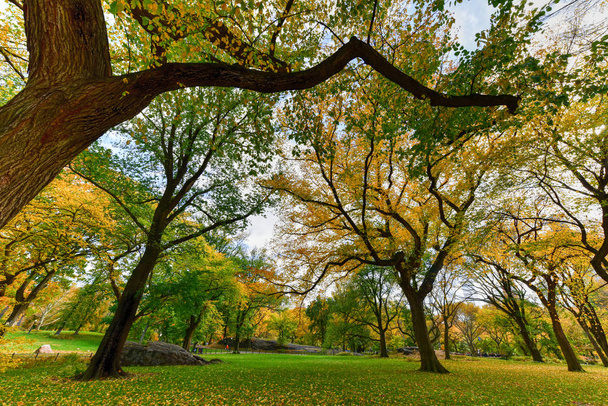 Central Park im Herbst in New York City - Foto, Bild
