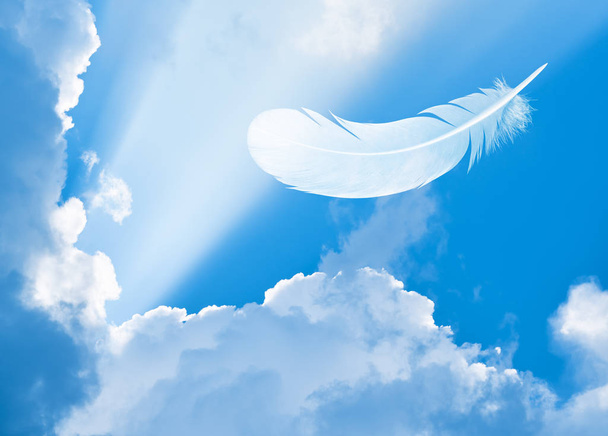 Feather in sky among clouds and sun beams - Photo, Image