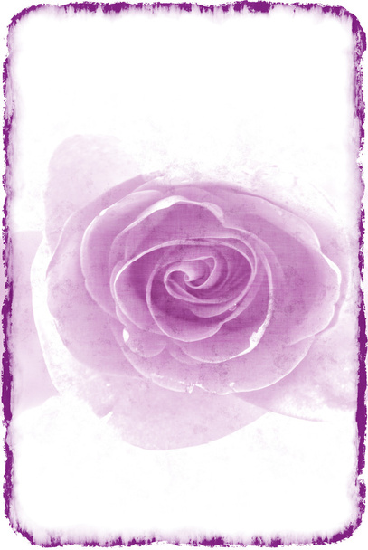 paarse roos in een retro-stijl op een licht - Foto, afbeelding