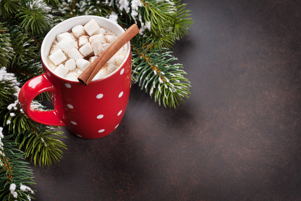 Hot chocolate and marshmallows - Photo, Image