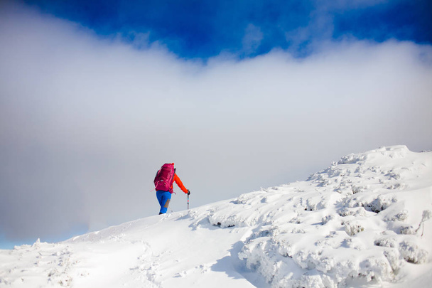 Climber with backpack walks on a snowy slope. - Zdjęcie, obraz