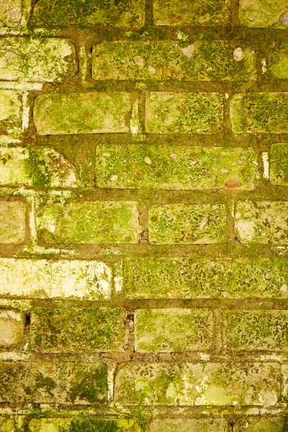 old brick wall - Foto, afbeelding