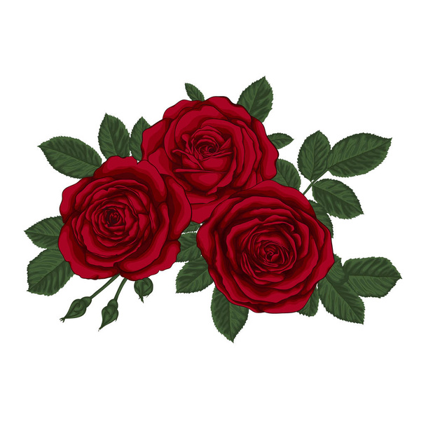 πανέμορφο μπουκέτο με τρία κόκκινα τριαντάφυλλα και τα φύλλα. Floral ρύθμιση. - Διάνυσμα, εικόνα