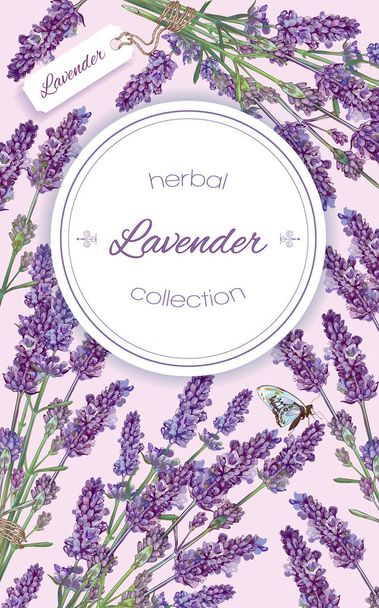 Lavender natural cosmetics banner - Vettoriali, immagini