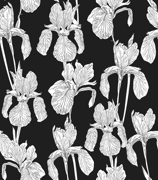Virág varrat nélküli mintát háttér silhouette illusztráció írisz. Floral design elemek. - Vektor, kép