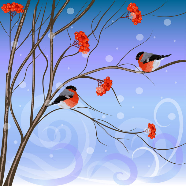 Winter card with bullfinches sitting on rowan - Διάνυσμα, εικόνα