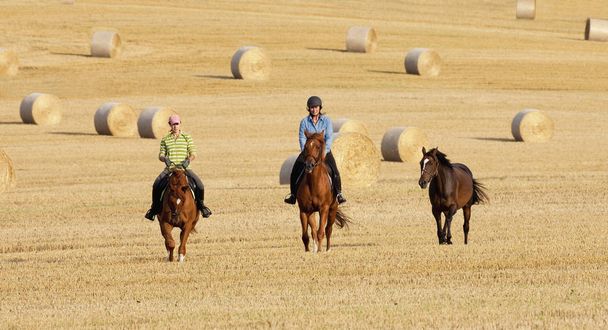 Duas mulheres cavalgando em um campo com fardos de Hay
 - Foto, Imagem