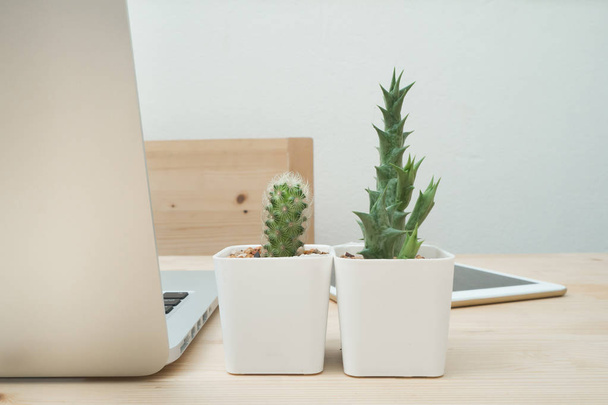 Office table with cactus flower on pot and laptop. - Fotó, kép