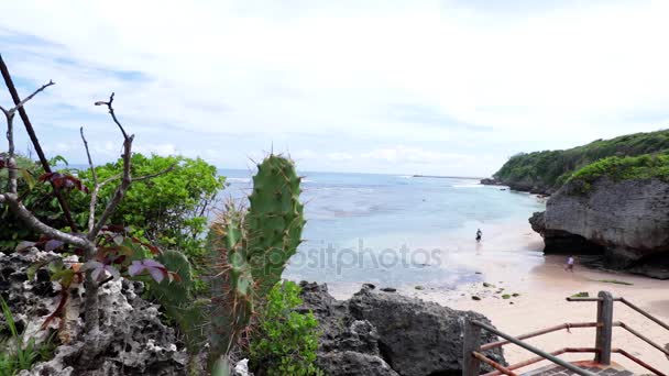Tropical lonely beach. Seascape. View from the top to the big rocks. Bali island, Indonesia. Tropical plants and cactus. - Footage, Video