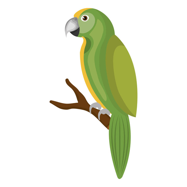 parrot bird isolated icon - Vector, Image