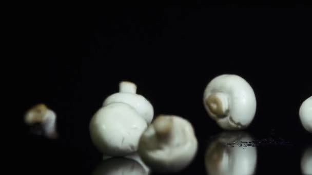 Cogumelos caindo em câmera lenta
 - Filmagem, Vídeo