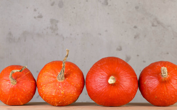 Orange decorative pumpkin - Фото, зображення