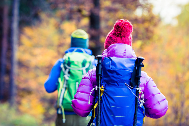 男と女の幸せなカップル ハイカーが秋の森を歩いて - 写真・画像