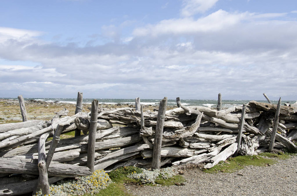 Вид на Сено Отвей - Патагония - Чили
 - Фото, изображение