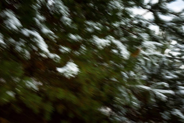 Θολή κίνηση αφηρημένο φόντο πράσινο τόνο - Φωτογραφία, εικόνα