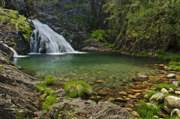 cascada y un lago en medio del bosque
 - Foto, Imagen