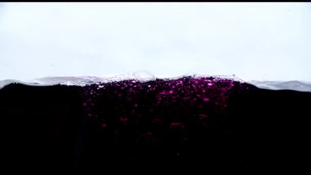 dunkles kastanienbraun auf weißem Hintergrund - Filmmaterial, Video