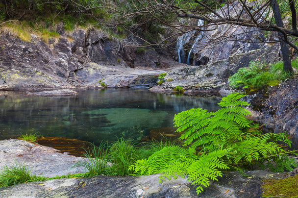 Wodospad i jezioro z przejrzystą wodą, w środku lasu - Zdjęcie, obraz