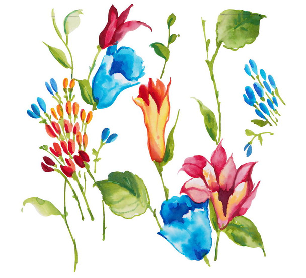 Watercolor painted flower design elements - Foto, afbeelding