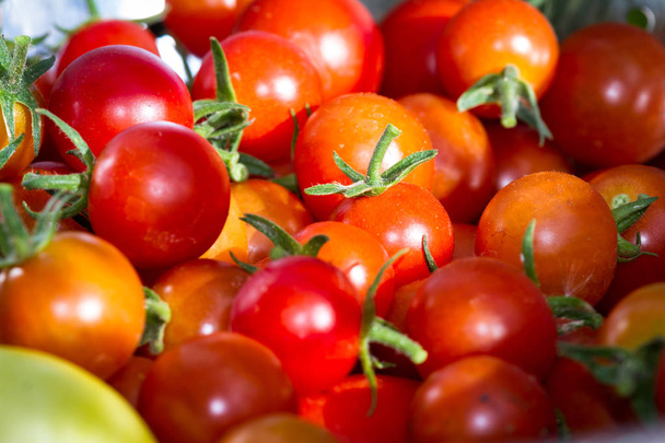 Tuin verse tomaten  - Foto, afbeelding