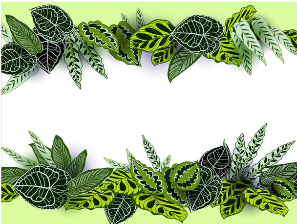 tropical leaves vector .seamless - Vetor, Imagem