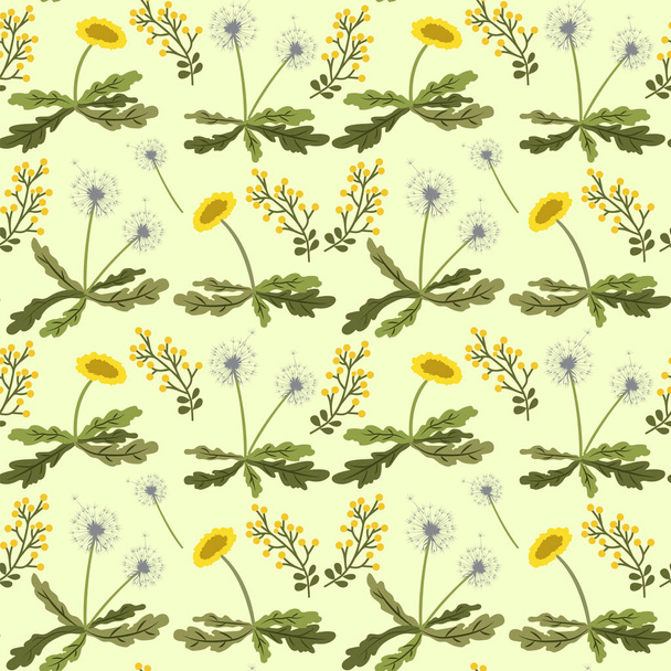 Seamless pattern with dandelions and Leontodon on the light green background. - Vector, Image
