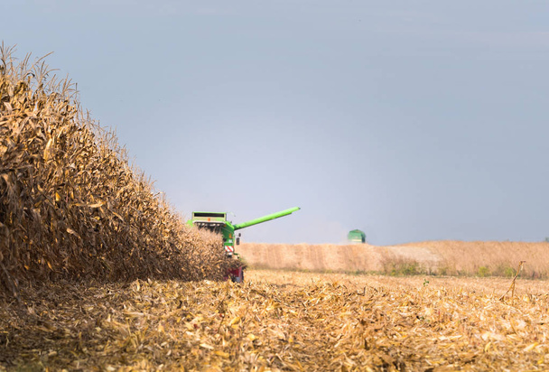Raccolta del campo di mais con mietitrebbia
 - Foto, immagini