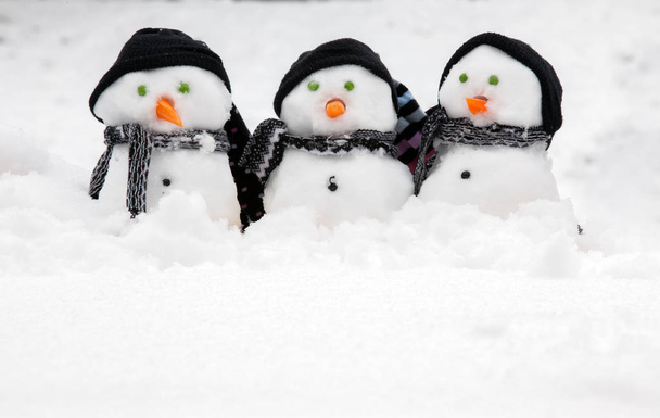 Üç sevimli kardan adamlar kopya alanı ile - Fotoğraf, Görsel