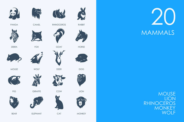 Set di icone su sfondo blu
 - Vettoriali, immagini