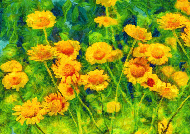 Žluté chamomiles na zelené louce - Fotografie, Obrázek